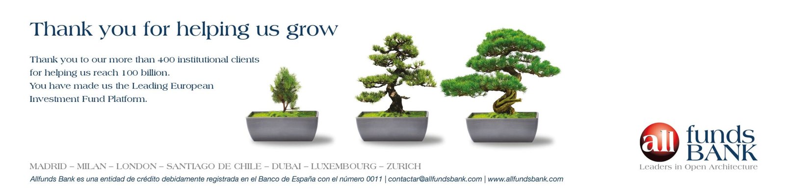 for those bonsai 2 scaled