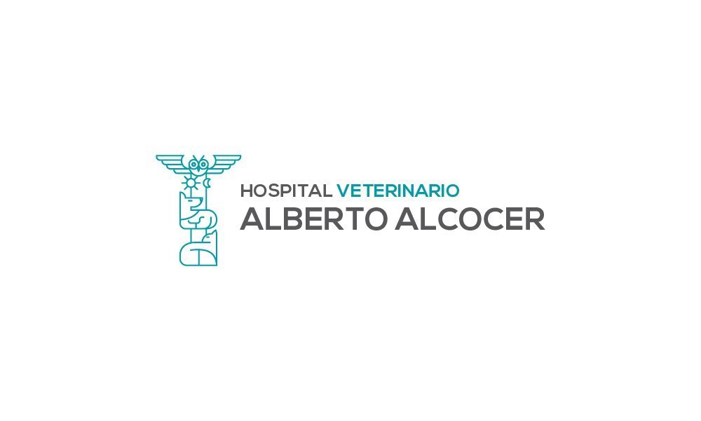 HOSPITAL VETERINARIO ALBERTO ALCOCER