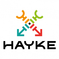 LOGO HAYKE-10