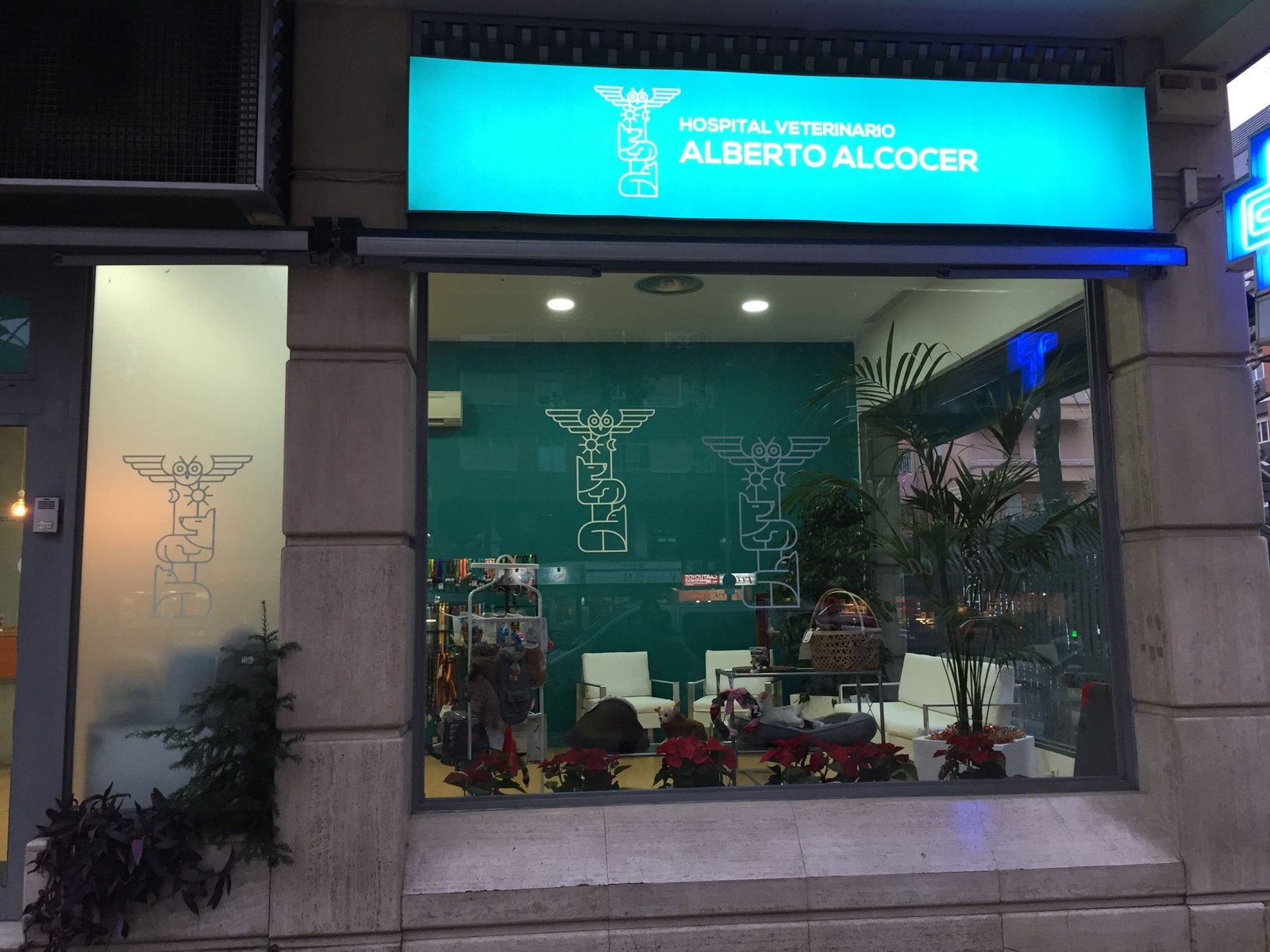 Hospital Veterinario Alberto Alcocer