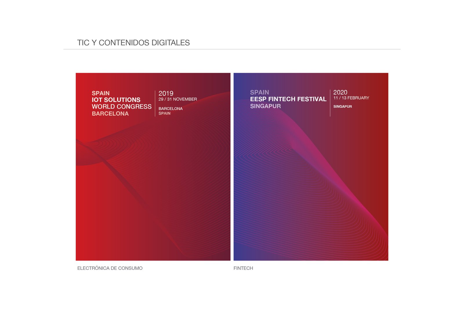 MANUAL ICEX 2019 20 21