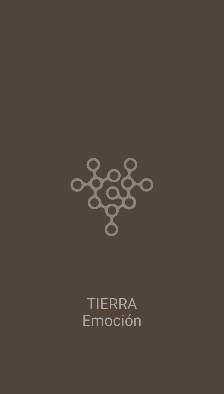 Carta Tierra