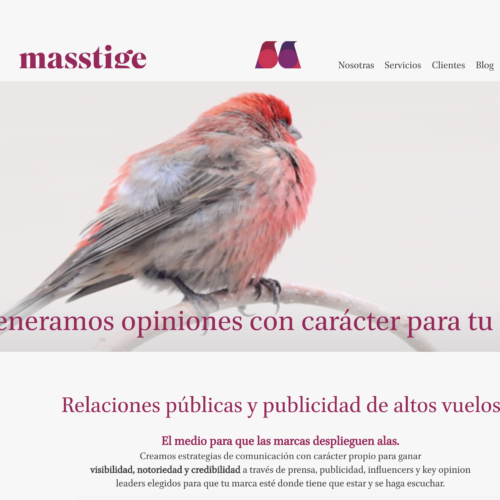 masstige.agency